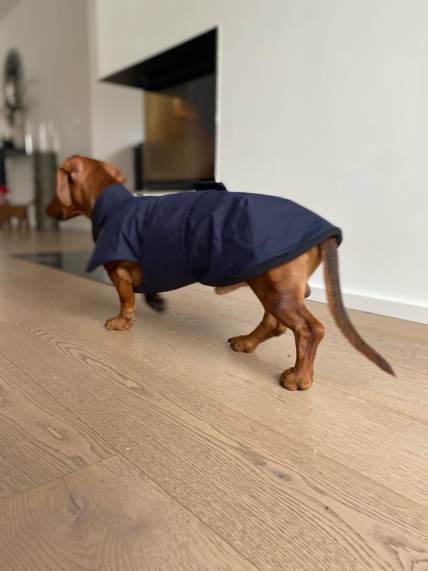 Zoom