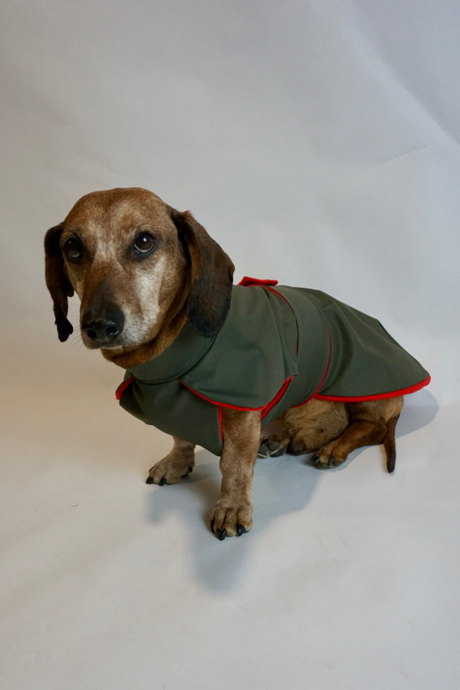 Green Parka Da Vinci with red fleece lining