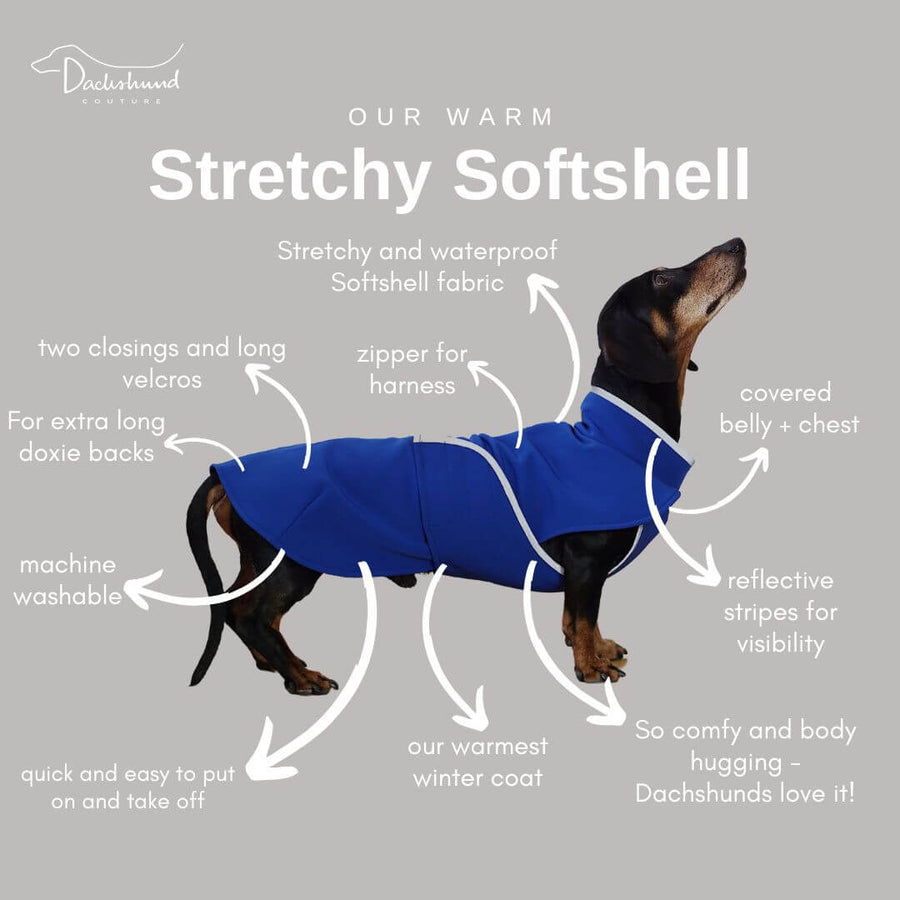 Blue thick and stretchy Softshell dachshund coat style Botero