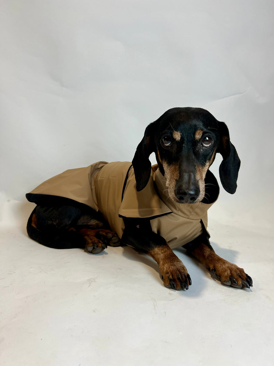 Beige Parka with Black Fleece Lining