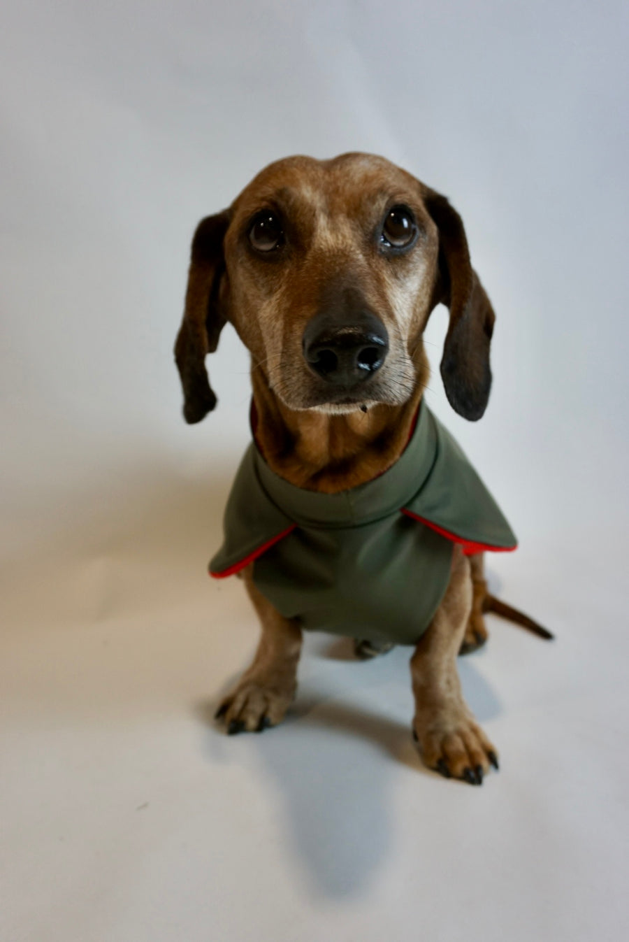 Green Parka Da Vinci with red fleece lining