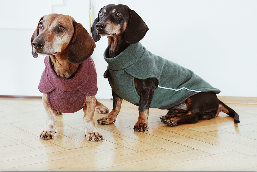 Forest green Dachshund Fleece Jumper Blondie