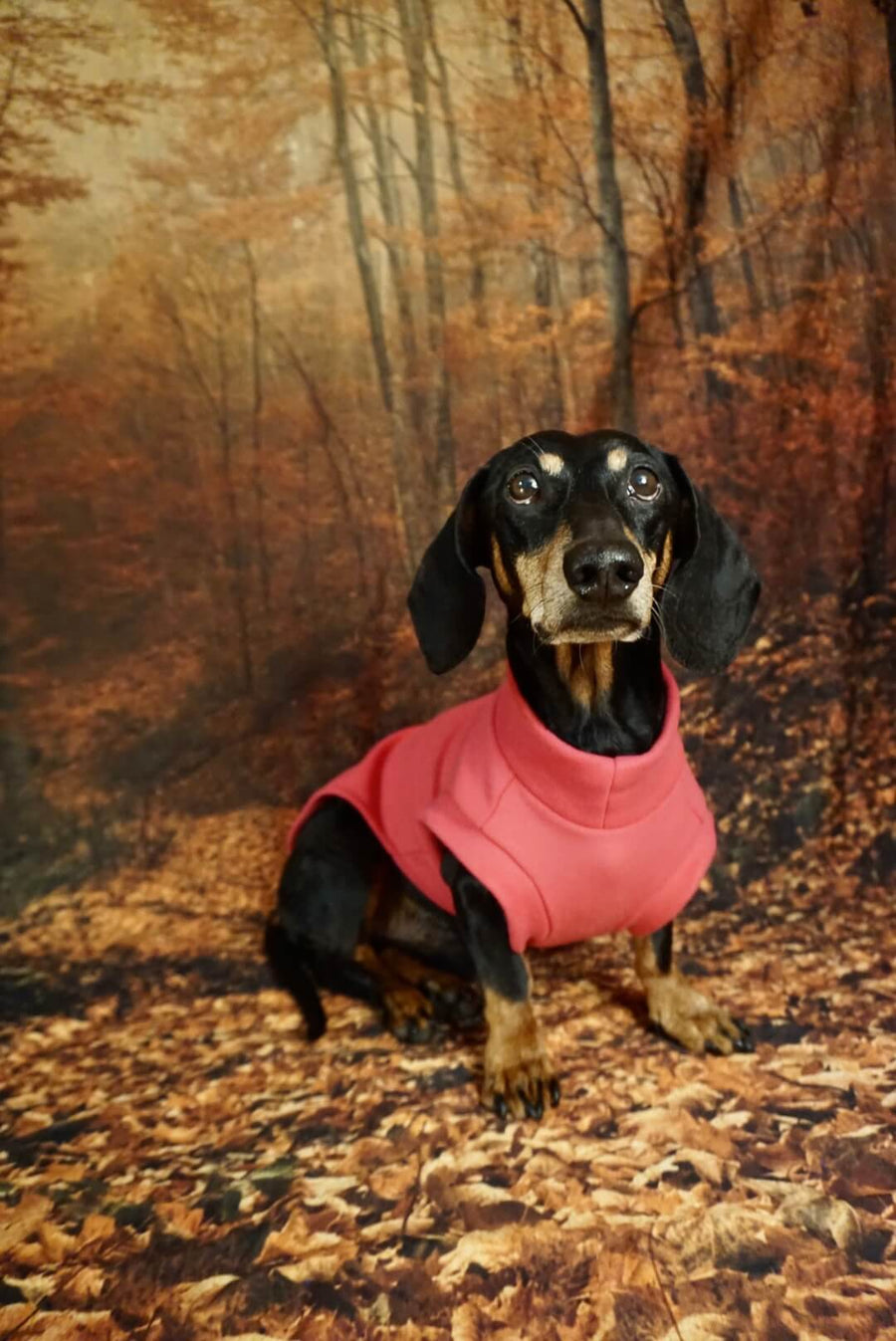 Pink Fleece Pullover for Dachshunds