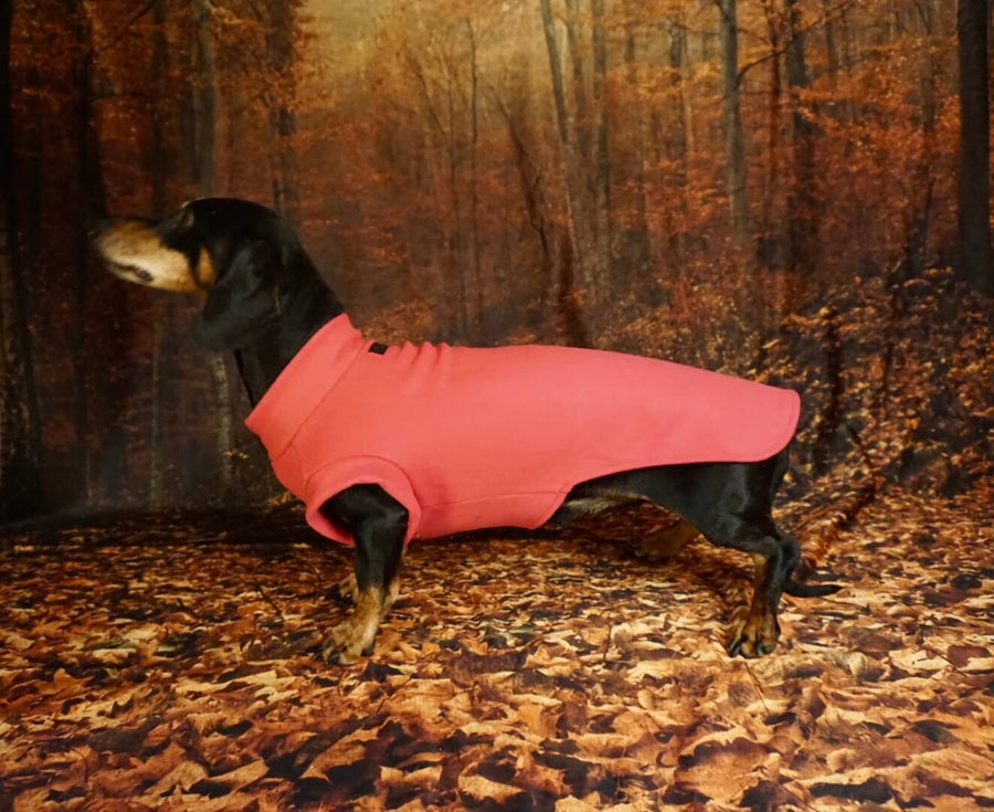 Pink Fleece Pullover for Dachshunds