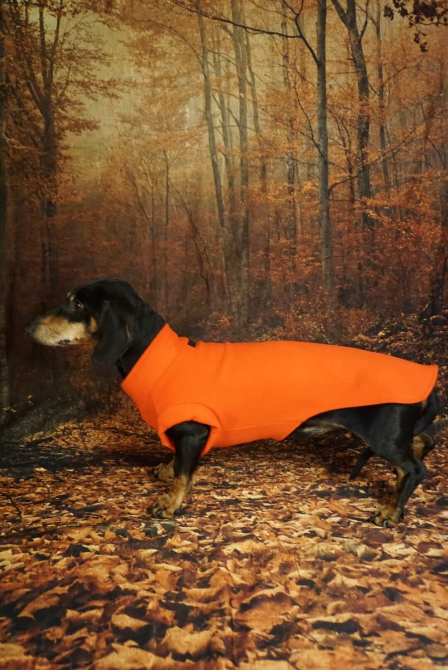 Red Fleece Pullover for Dachshunds