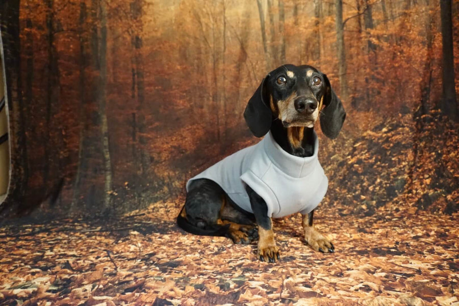 Light Grey Fleece Pullover for Dachshunds