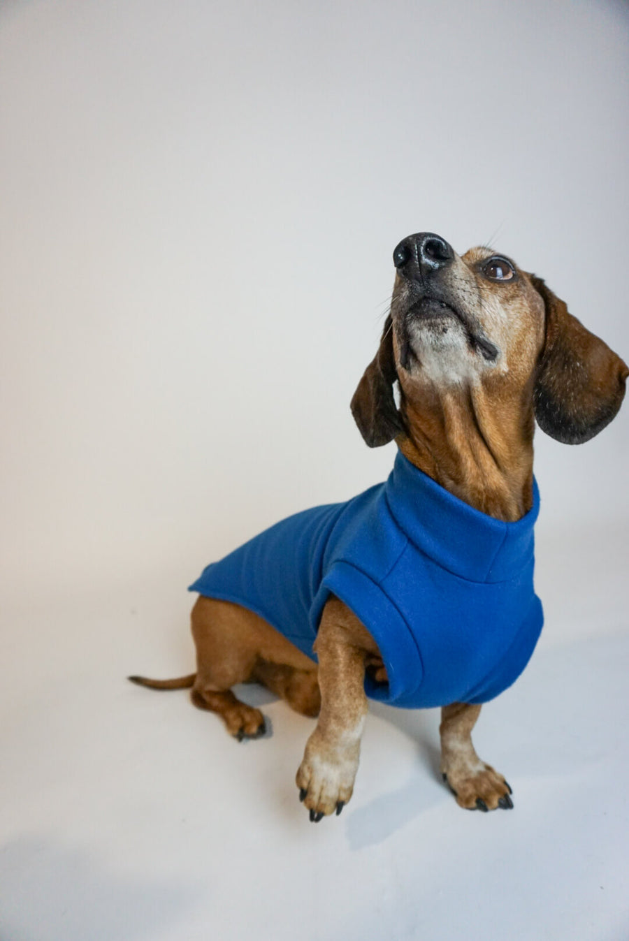 Jeans Blue Fleece Pullover for Dachshunds