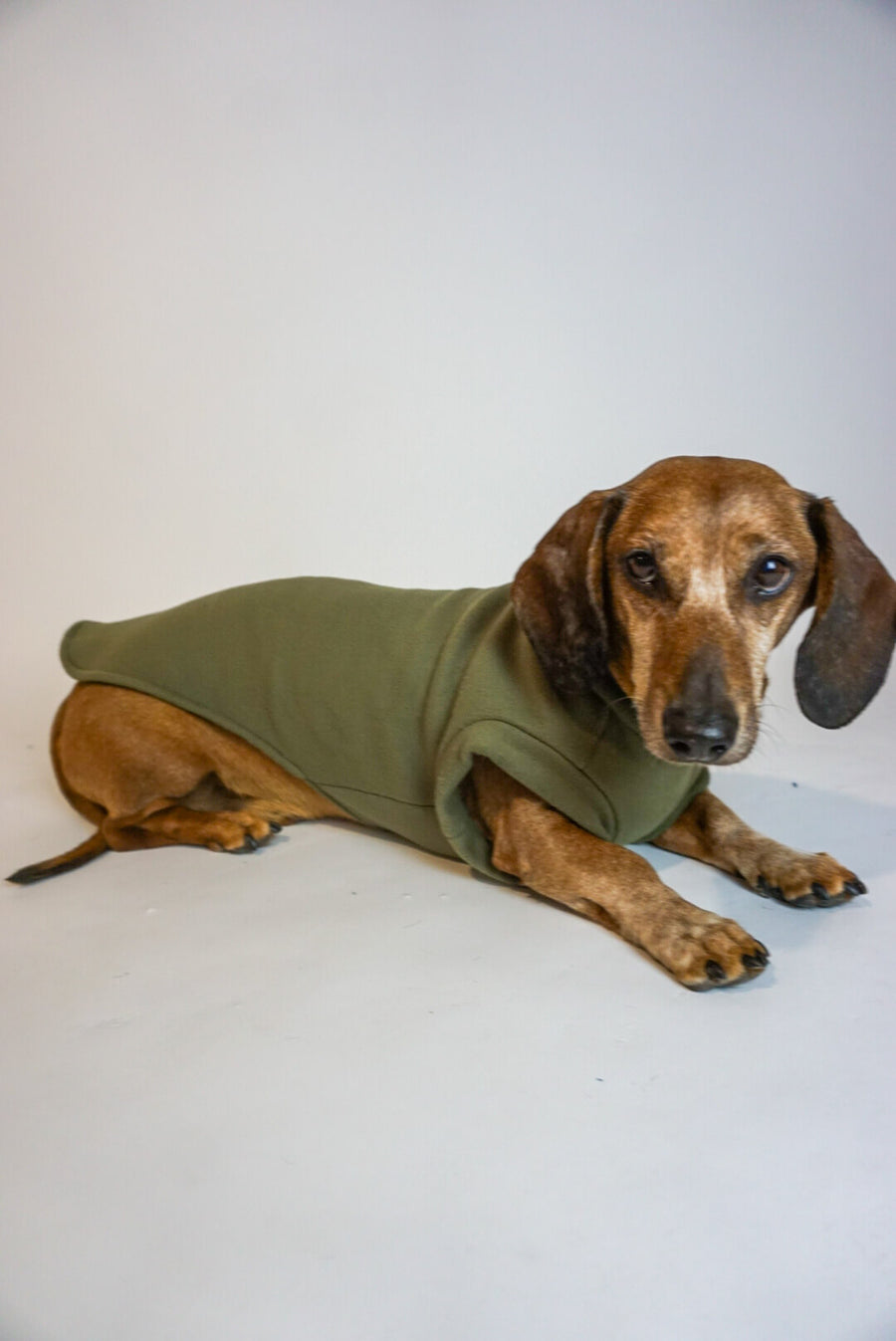 Olive Green Fleece Pullover for Dachshunds