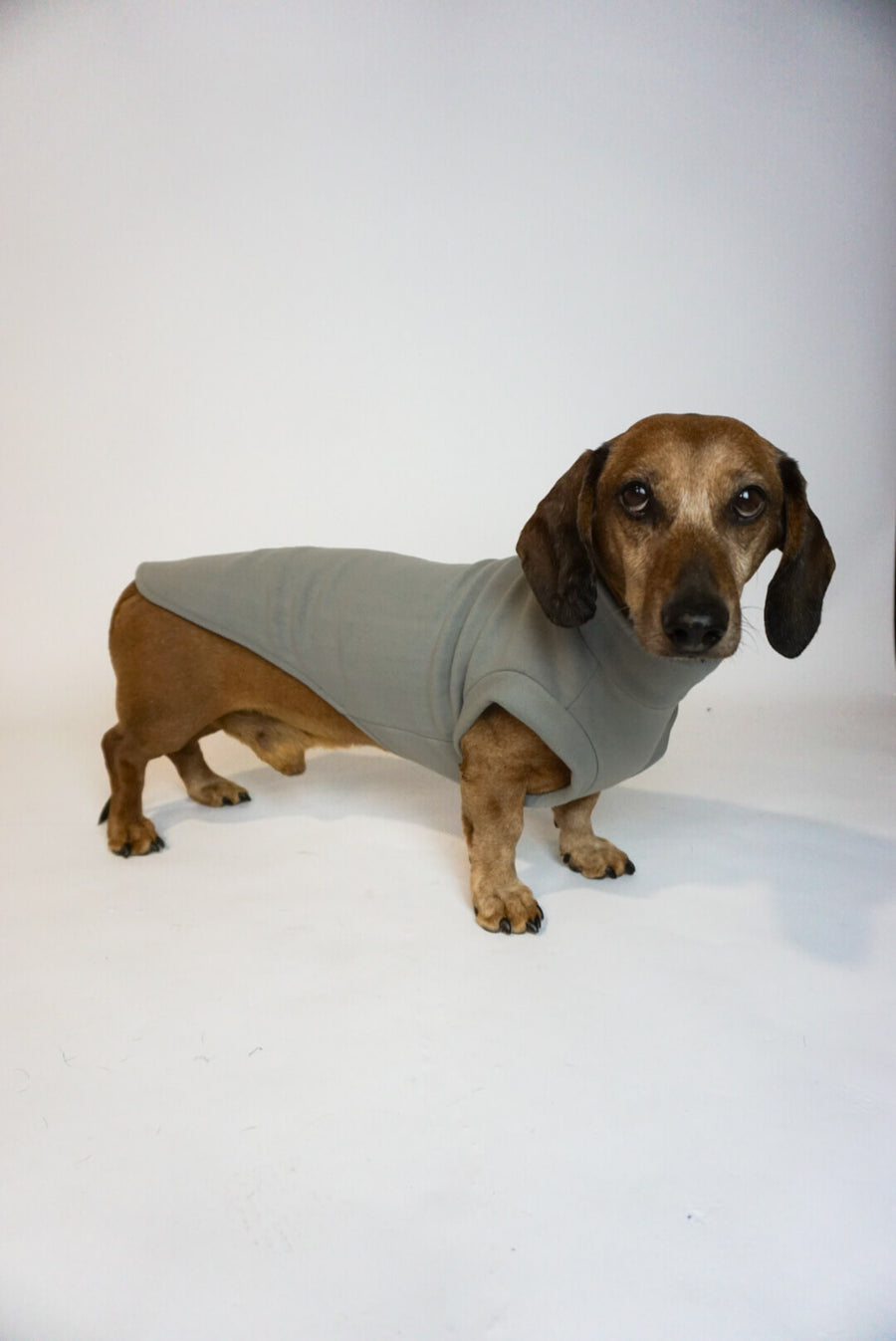 Light Grey Fleece Pullover for Dachshunds