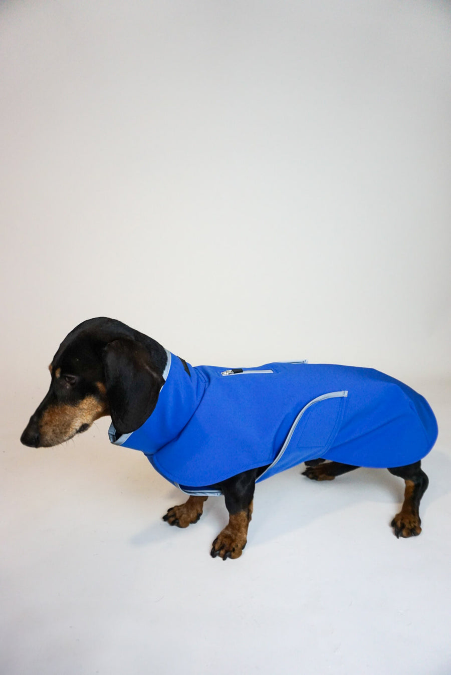 Sky Blue Softshell coat with covered chest