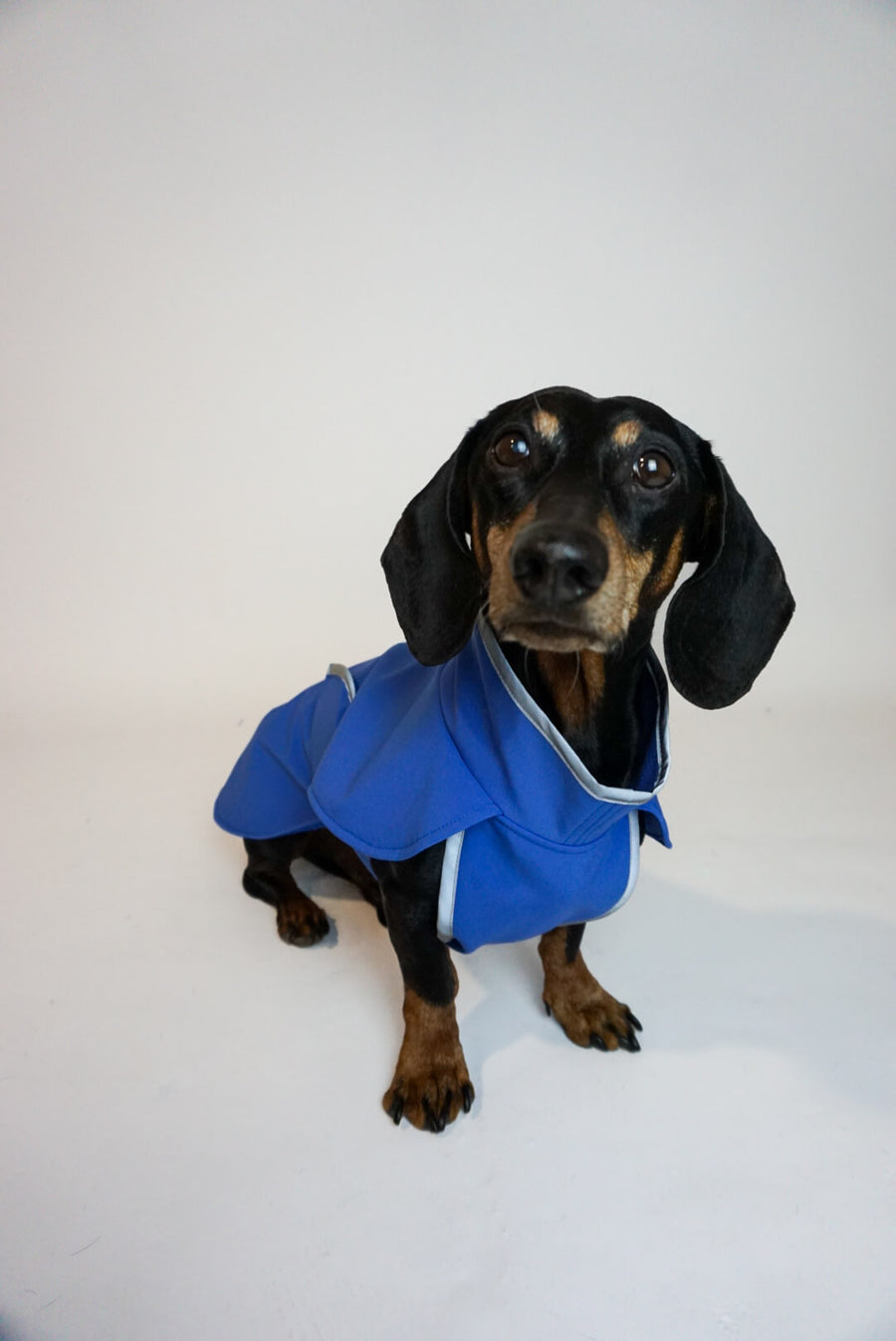 Manteau Softshell bleu ciel avec poitrine couverte