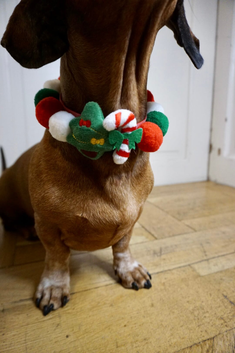 Christmas Collar Pom Poms