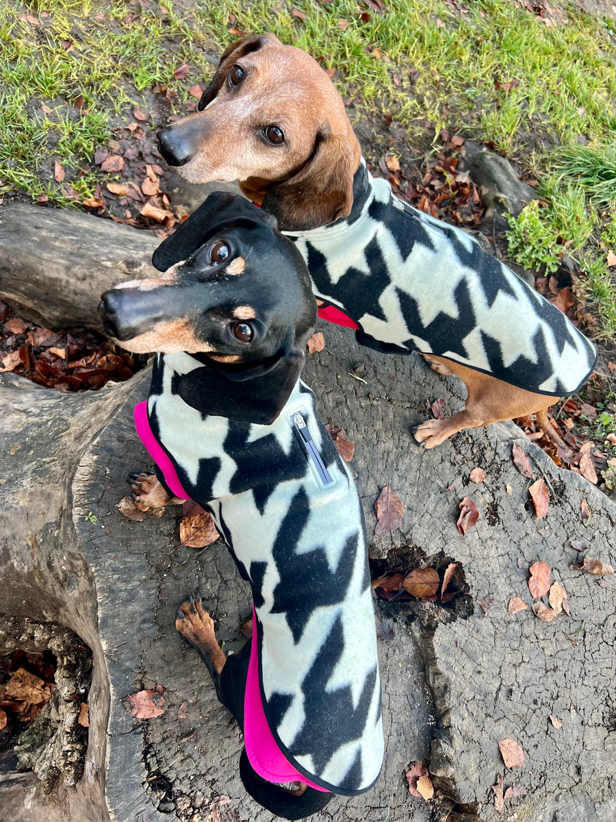 The new Emily in Paris 2 Houndstooth dog coat