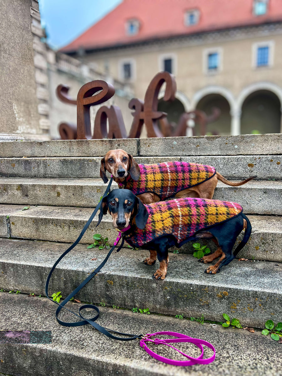 Pawtnerlook-Paket Egon Schiele