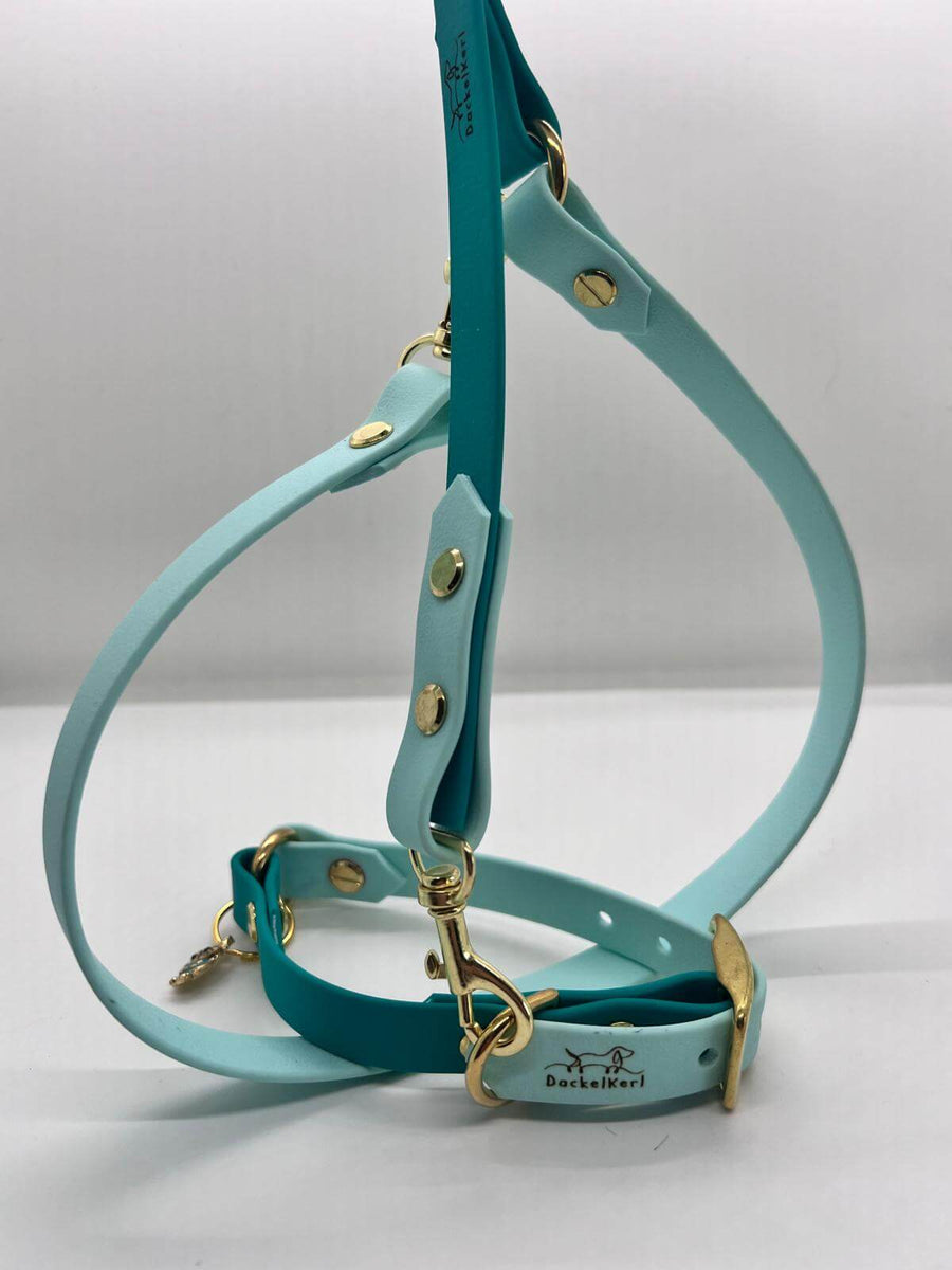 Biothane Collar & Leash set Turquoise