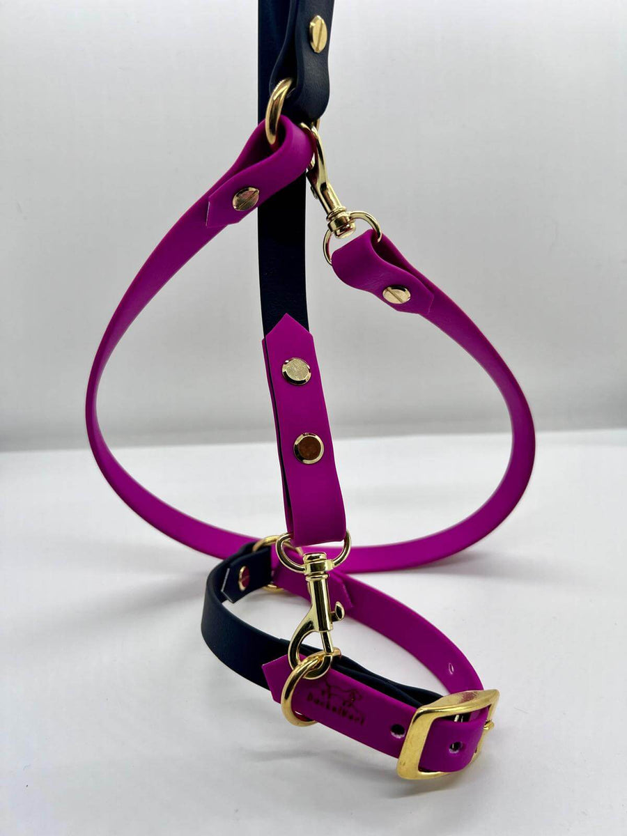 Biothane Collar & Leash set Raspberry