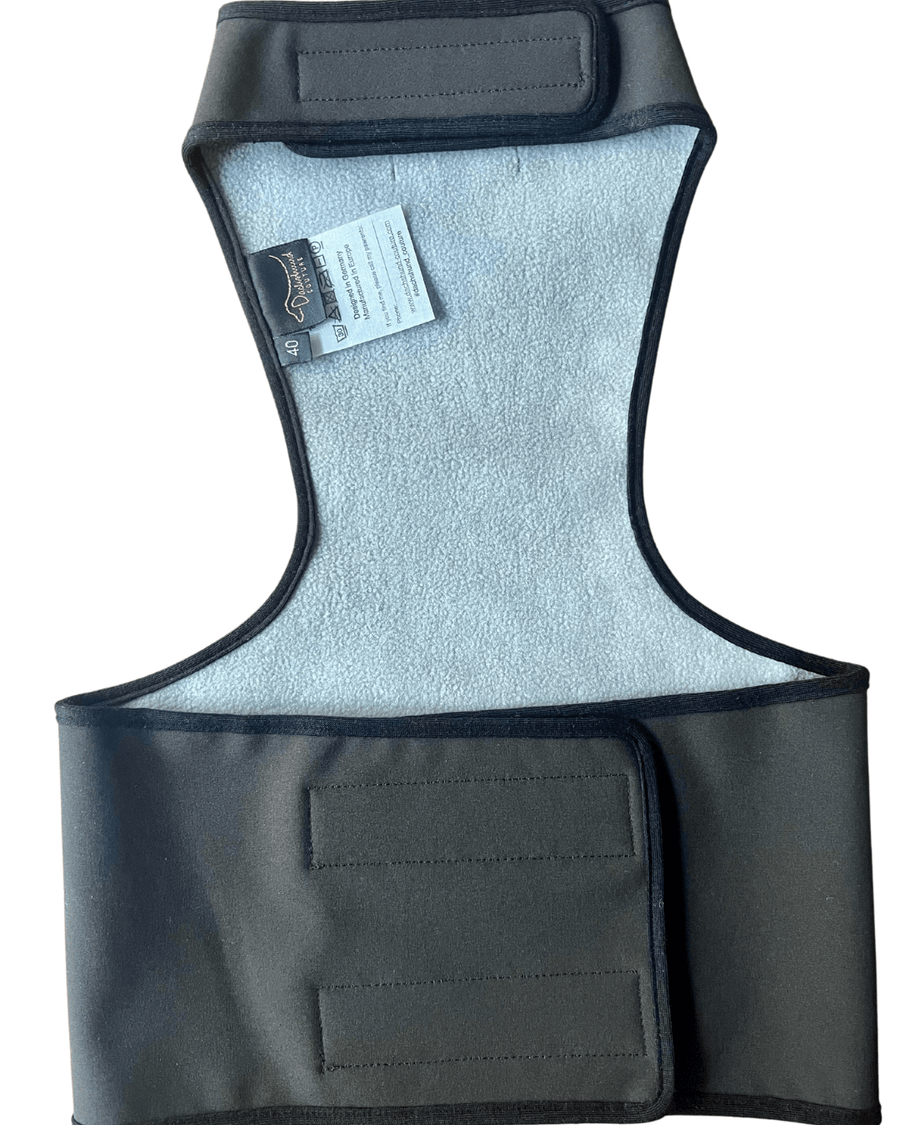 Gilet Softshell noir pour teckel 