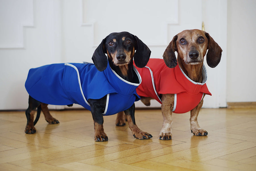 Softshell dachshund coat Munch in red