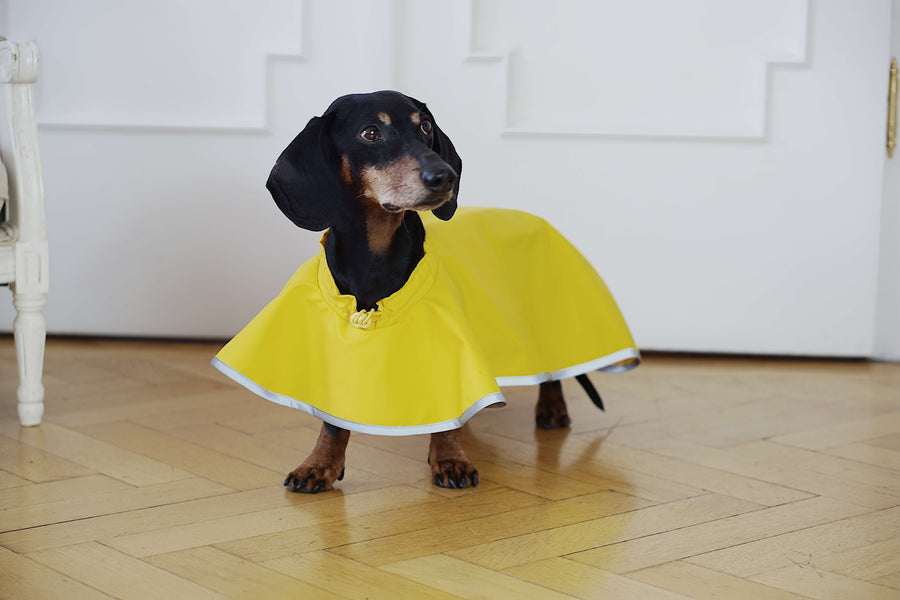 🎁 Yellow Rain Cape Matisse (100% off)