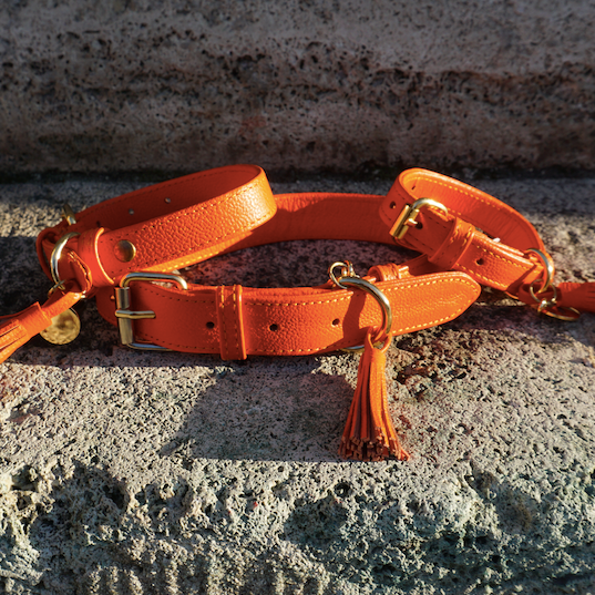 Orange leather dog collar
